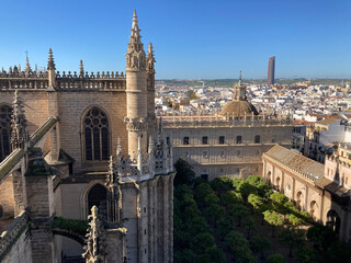 Fototapeta na wymiar sevilla catedral vista desde la giralda vista aérea IMG_4739-as24