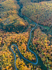 Aerial view of a winding road going through the colorfull autumn forest in germany