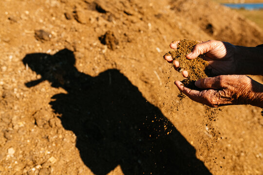 An old man's hands hold manure used to fertilize grasses year-round on his farm. His shadow falls below on brown dirt