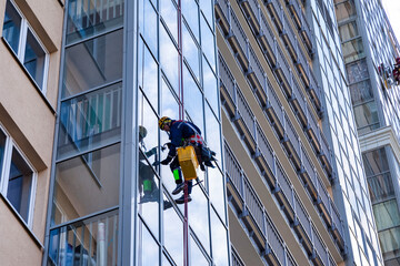 Bottom view of industrial mountaineering men in uniform washing glazing, hanging from building. Two...