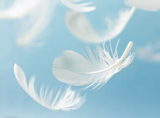 Feathers floating around wallpaper