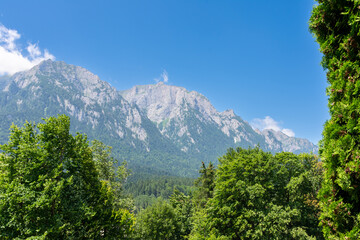 View of rocks, trees from the forest