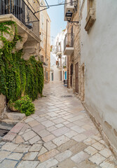 Narrow street in the historic center of Polignano a Mare village, in province of Bari, Puglia, Italy