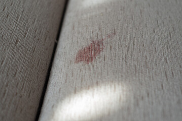 Blood stain on fabric sofa after night menstruation. Fresh or old stains cleaning from sheet of...