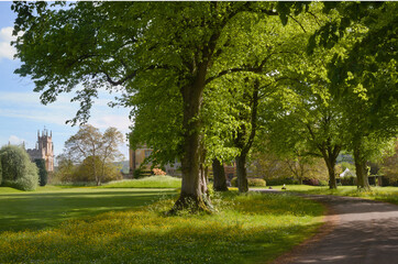 park at Sudeley castle - Cloucestershire - England