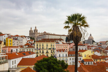 Fototapeta na wymiar Alfama viewpoint, Miradour of Santa Luzia with a palm tree, lisbon, Portugal
