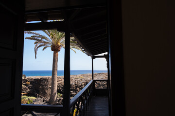 View of a palm tree, desert area and ocean in the background from a window with railing. Clear sky....