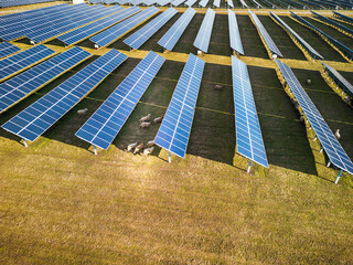 Solar panel produces green, environmentaly friendly energy from the setting sun. Aerial view from...