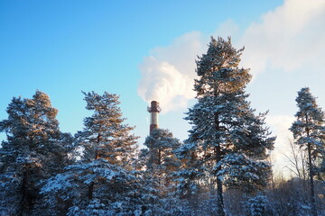 Smoke from a factory chimney. Ecological pollution. Air emissions polluting forest. Industrial...