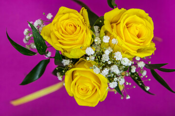 Bouquet of yellow roses on a purple background