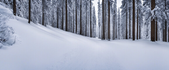 Breathtaking Views of Snowy Black Forest - Winter Wonderland