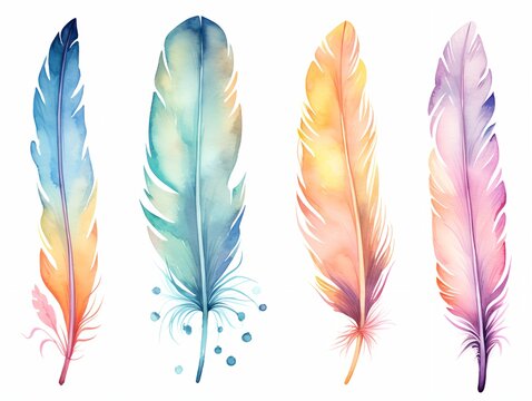 a colorful feathers on a white background