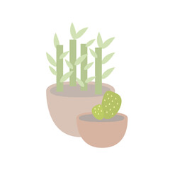Potted plants composition bamboo and cactus in terracotta pots vector illustration
