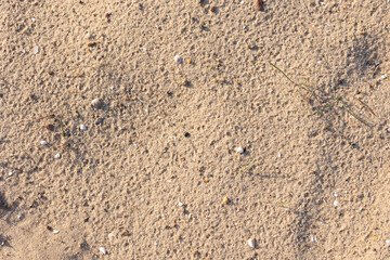 Sand texture close up. Sand background.