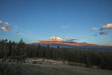 Cotopaxi Volcano at sunset 