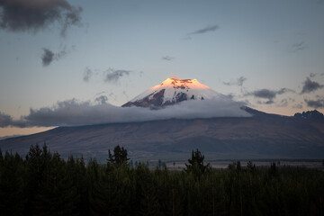 Cotopaxi Volcano at sunset 