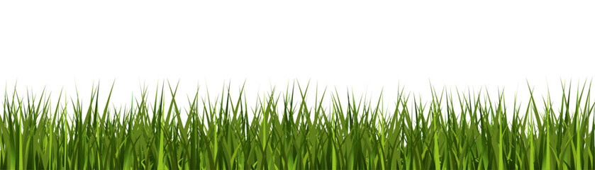 Realistic eco banner with grass on transparent background, stand alone grass for your own design