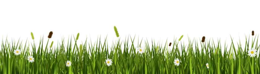 Stoff pro Meter Realistic grass meadow vector banner with wild flowers on transparent background © Manuel Adorf