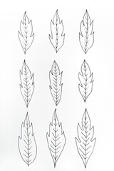 Drawing handmade of nine leaves in black ink on white