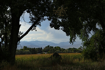 colorado scene