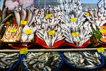 Closeup of various fresh sea fish for sale on counter in Istanbul bazaar, price tags in Turkish