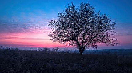Obraz na płótnie Canvas A beautiful view of the sunrise during the blue hour, with the silhouettes of trees against a sky blushing in shades of blue and violet