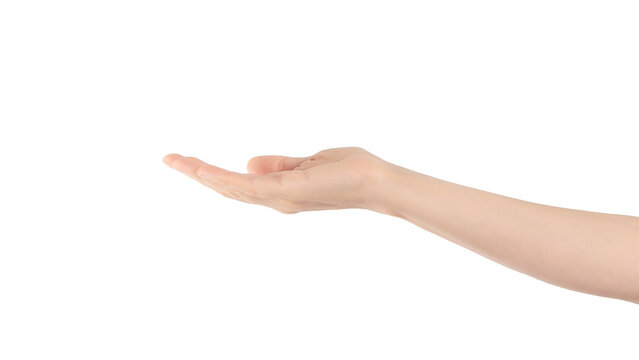 Like a little water in the palm of your hand isolated on transparent png background with clipping paths. Woman hand with palm up like holding something. Open hand sign.