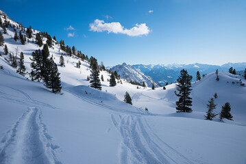 ski tracks in the powder snow, skiing area Rofan alps, austria