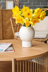 Vase with beautiful narcissus flowers and magazines on coffee table in living room