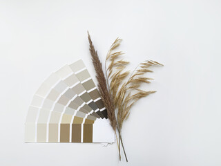 Concept: nature inspires colors. Samples of paints with dried grass on a white background. Neutral...