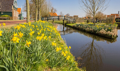 Fototapeta premium Spring flowers at the canal in the center of Zaanse Schans, Netherlands