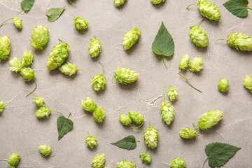 Fresh green hops and leaves on grey background