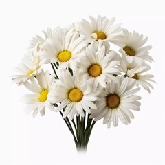 Fototapeta premium A bouquet of large white daisies isolated on a white background, AI generator