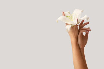 Female hands with white lily flower on grey background, closeup