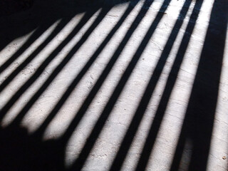 the shadow of the fence on the cement floor. black and white shadow of bamboo fence on the floor. wooden fence shadow on a dirty cement floor in black and white. mysterious
