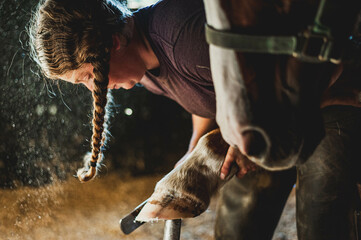 Quarter horse getting hoof shaped by a female farrier with two pigtail braids in a dusty stall in...