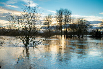 January floods on the River Severn,and submerged trees,at ssunset,Worcester City,Worcestershire,England,United Kingdom. - obrazy, fototapety, plakaty