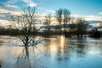 Foto op Aluminium January floods on the River Severn,and submerged trees,at ssunset,Worcester City,Worcestershire,England,United Kingdom. © Neil