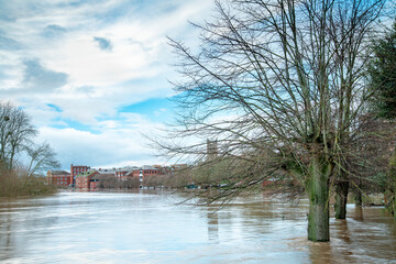 January floods on the River Severn,and submerged trees,at ,Worcester Cathedral,Worcestershire,England,United Kingdom.