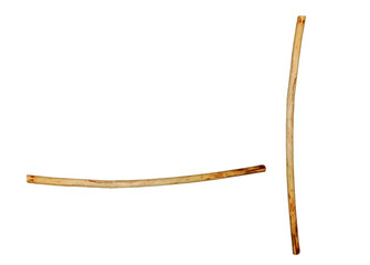 A peeled stick of bark on isolated transparent background
