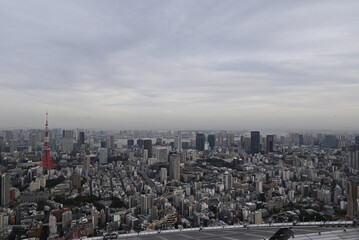 City view of Tokyo from Roppongi Hills