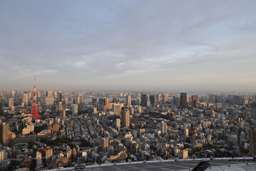 City view of Tokyo from Roppongi Hills