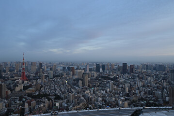 City view of Tokyo from Roppongi Hills