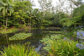 Scenic views of Tamborine Mountain Regional Botanic Gardens