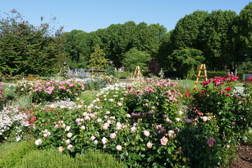 Rosenbeete im Rosengarten Zweibrücken