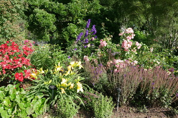 Taglilien und Blumen im Rosengarten Zweibrücken