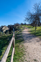 View of the mountains and forests along the sumac trail in Alcal&aacute; la Real (Ja&eacute;n, Spain)