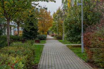 Concrete walkway in the park with gray stone curb and green grass - Powered by Adobe