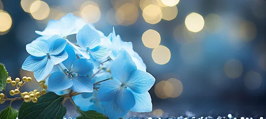 Rolgordijnen Blue hydrangea blossom on magical bokeh background with copy space for text placement © Ilja