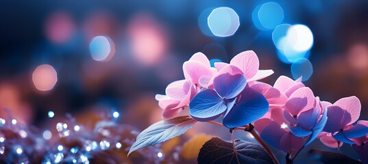 Blue hydrangea flower with magical bokeh background and copy space for text placement - obrazy, fototapety, plakaty